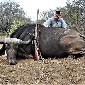 Hunt Cape Buffalo Cow