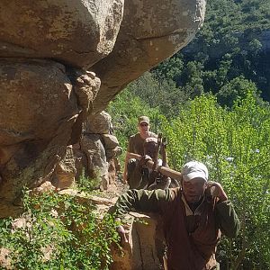 Hunt Bushbuck in South Africa