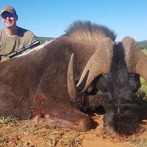 Hunt Black Wildebeest in South Africa