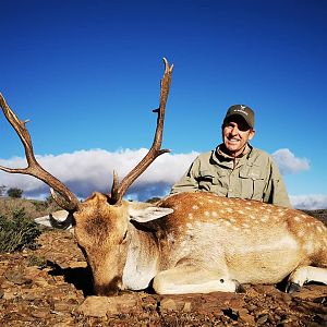 South Africa Hunting Fallow Deer