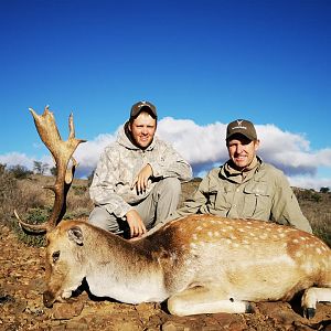 Fallow Deer Hunting South Africa