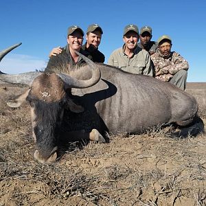 South Africa Hunt Blue Wildebeest