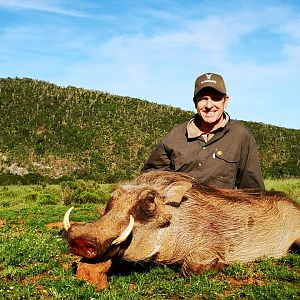 Warthog Hunt South Africa