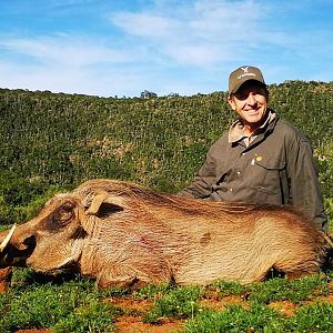 South Africa Hunting Warthog