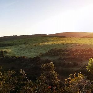 South Africa Landscape