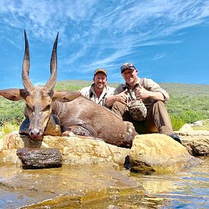 Bushbuck Hunting South Africa