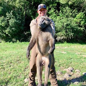 Hunting Baboon in South Africa