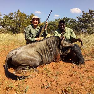 South Africa Hunting Blue Wildebeest