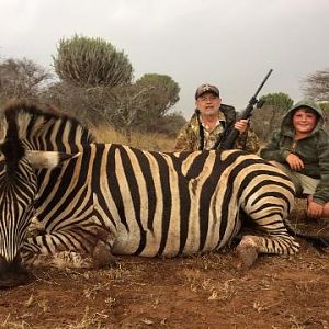 Burchell's Plain Zebra Hunt South Africa