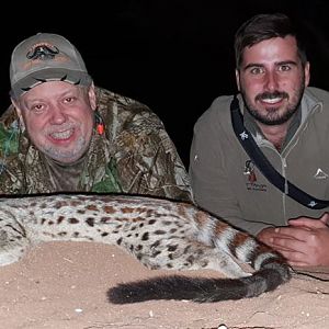 Genet Cat Hunting South Africa