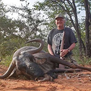 South Africa Hunting Blue Wildebeest