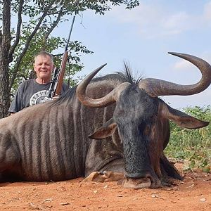 Blue Wildebeest Hunting South Africa