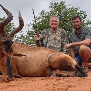 South Africa Hunting Red Hartebeest