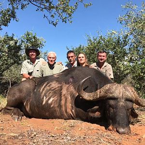 Hunt Cape Buffalo in South Africa