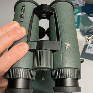 Swarovski EL Range 8 x 42 Binoculars