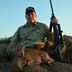 South Africa Hunting Steenbok