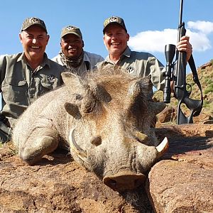 Warthog Hunting South Africa