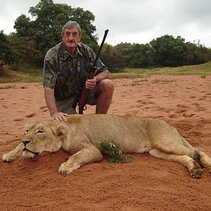 Hunt Lioness in South Africa