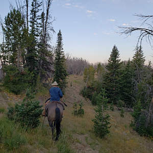 Wyoming Archery Elk Hunt 2018