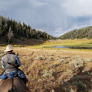 Wyoming Archery Elk Hunt 2018