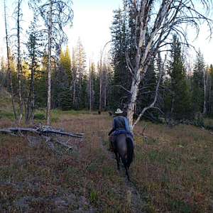 Wyoming Archery Elk Hunt 2018