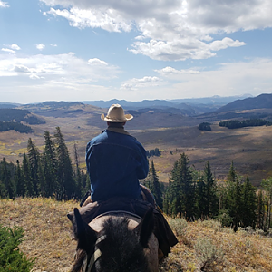 Wyoming Archery Elk Hunt 2018