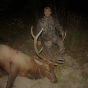 Elk Bow Hunting Wyoming USA