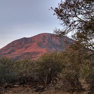 South Africa Hunting