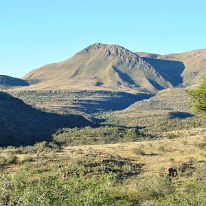 Hunting Area South Africa