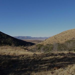 Hunting Area South Africa