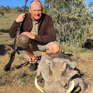 Warthog Hunting South Africa