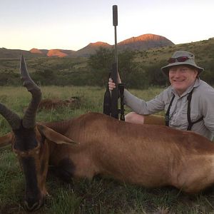 Red Hartebeest Hunting South Africa