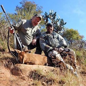 Hunt Duiker in South Africa