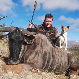 Blue Wildebeest Hunt South Africa