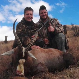 South Africa Hunt Blesbok