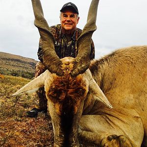 Hunt Eland in South Africa