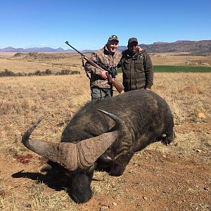 Cape Buffalo Hunt South Africa