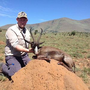 Black Springbok Hunting South Africa