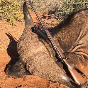 Hunting Cape Buffalo in South Africa