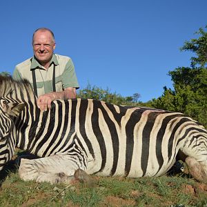 Burchell's Plain Zebra Hunt South Africa