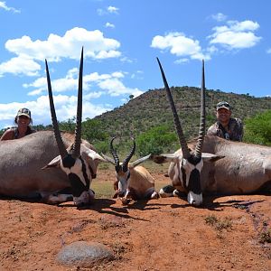 Gemsbok & Springbok Hunting South Africa