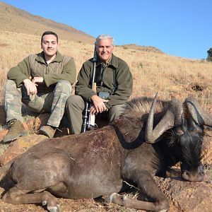 South Africa Hunting Black Wildebeest