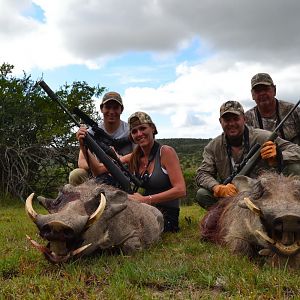 Warthog Hunt South Africa