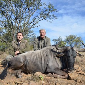 South Africa Hunt Blue Wildebeest