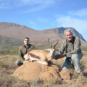 Springbok Hunting South Africa