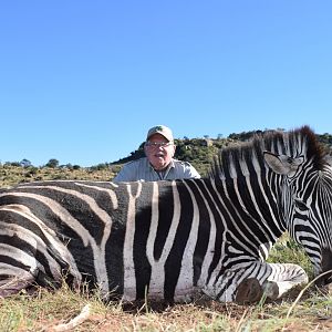 South Africa Hunt Burchell's Plain Zebra