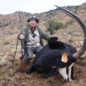 Hunt Sable Antelope in South Africa