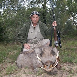 South Africa Hunt Warthog