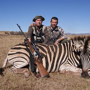 Hunt Burchell's Plain Zebra in South Africa