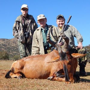 Hunting Red Hartebeest in South Africa